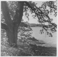 Danbyholms herrgård