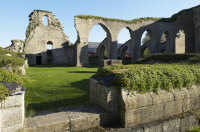 Image of Ög HedvallMenander473