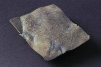 Image of DR NOR1999;21