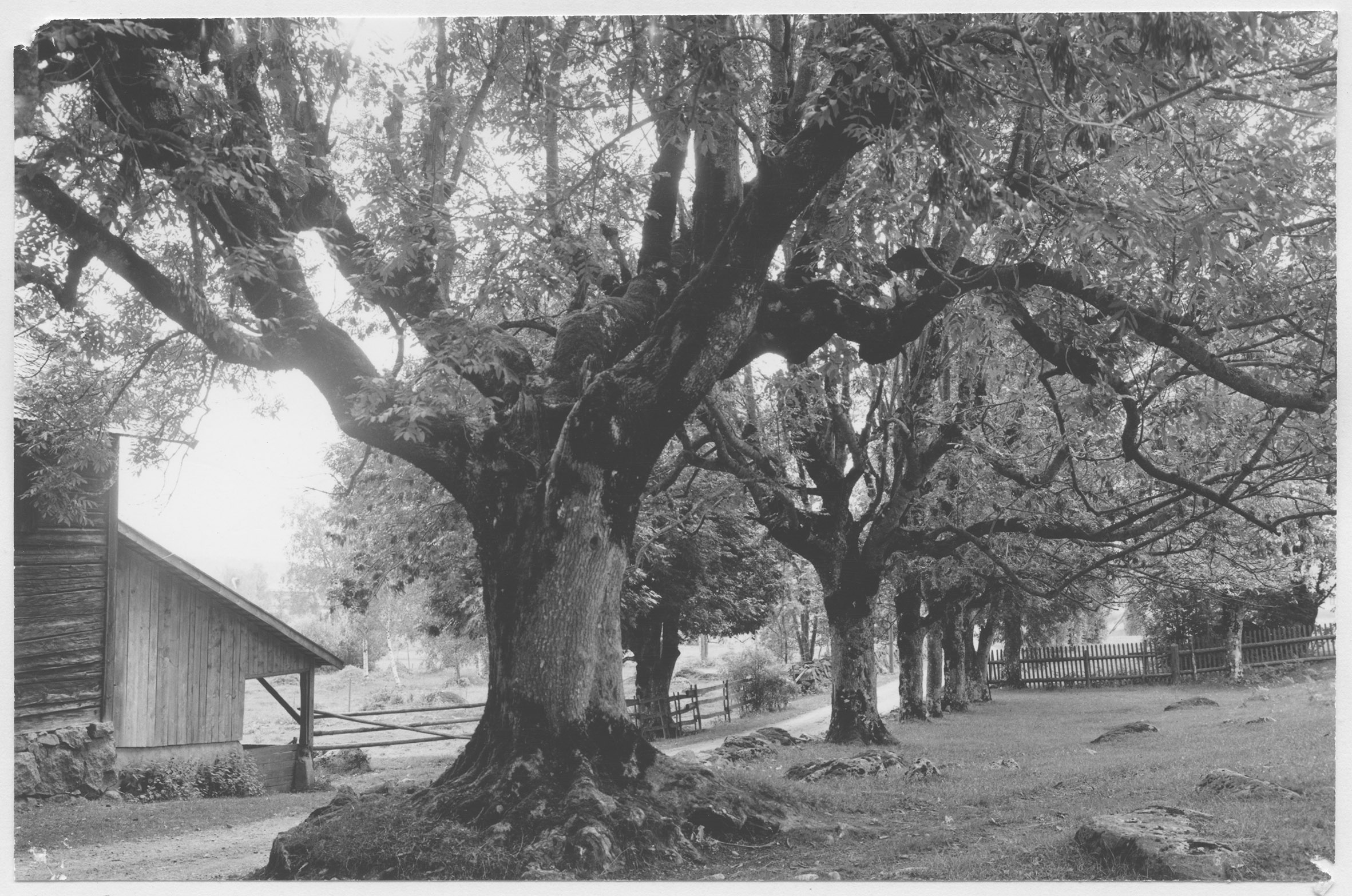 Mårten Sjöbeck, Ängatorp