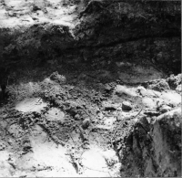 Stora Kils ödekyrkogård