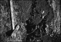 Alvastra pålbyggnad