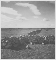 Ebbegärde, alvarterräng