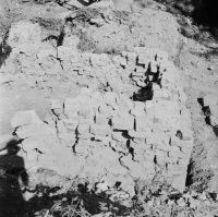 Sigtuna Dominikanerkloster