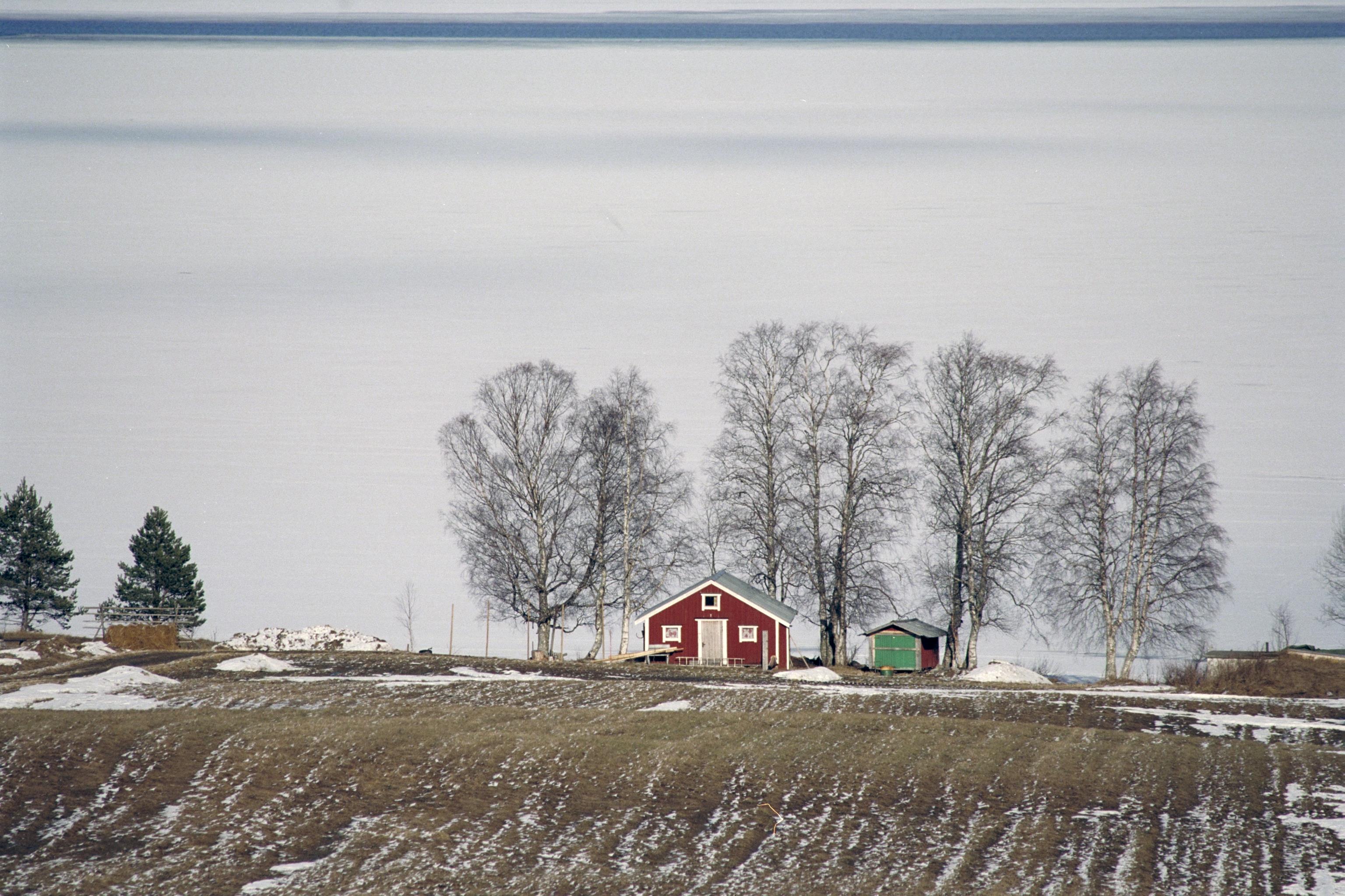 Bengt A Lundberg, Hallviken