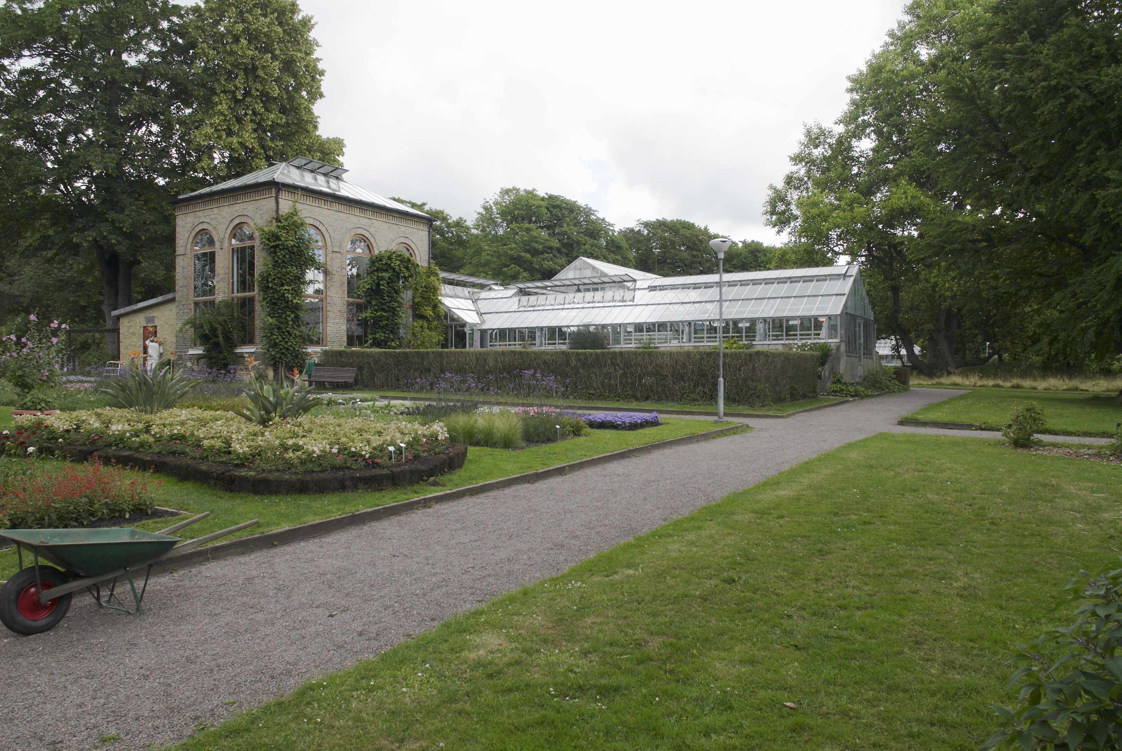 Bengt A Lundberg, Botaniska trädgården i Lund