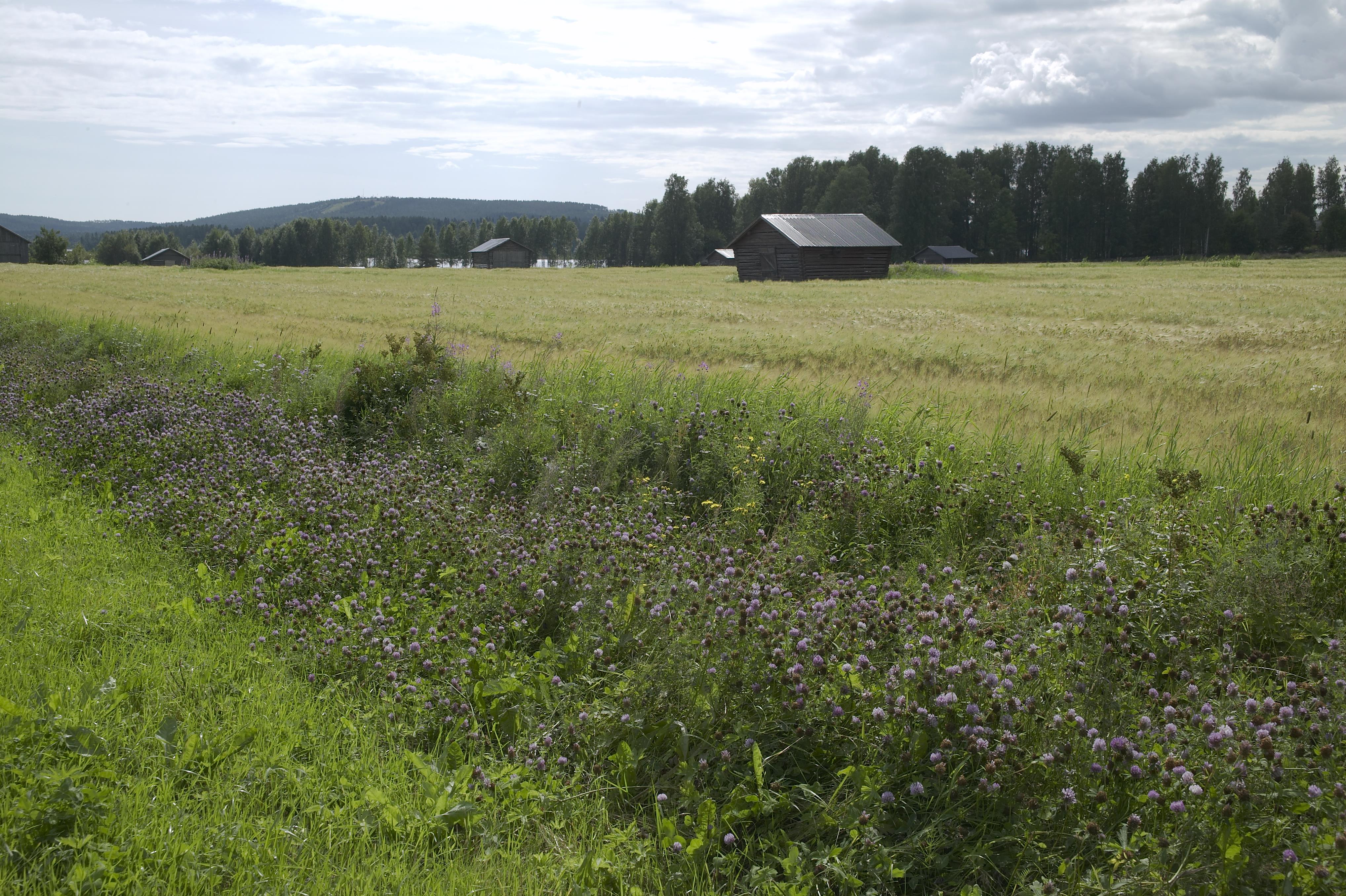 Bengt A Lundberg, Sjulnäs