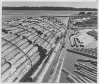 Kallerö, timmerlastning på båt