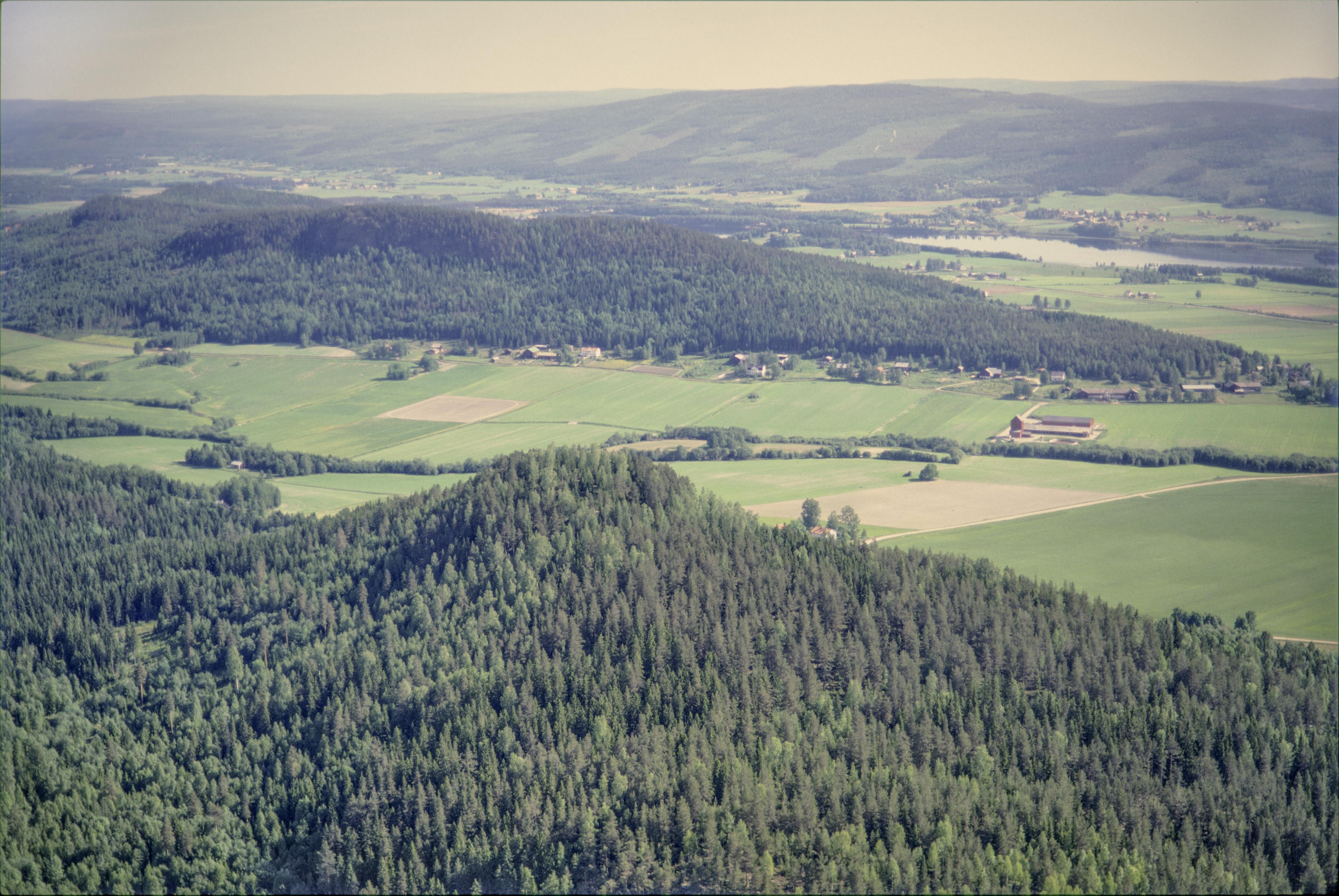 Jan Norrman, Torsåker 8:1