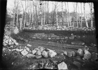 Varnhems klosterruin