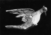 Kävlinge gamla kyrka