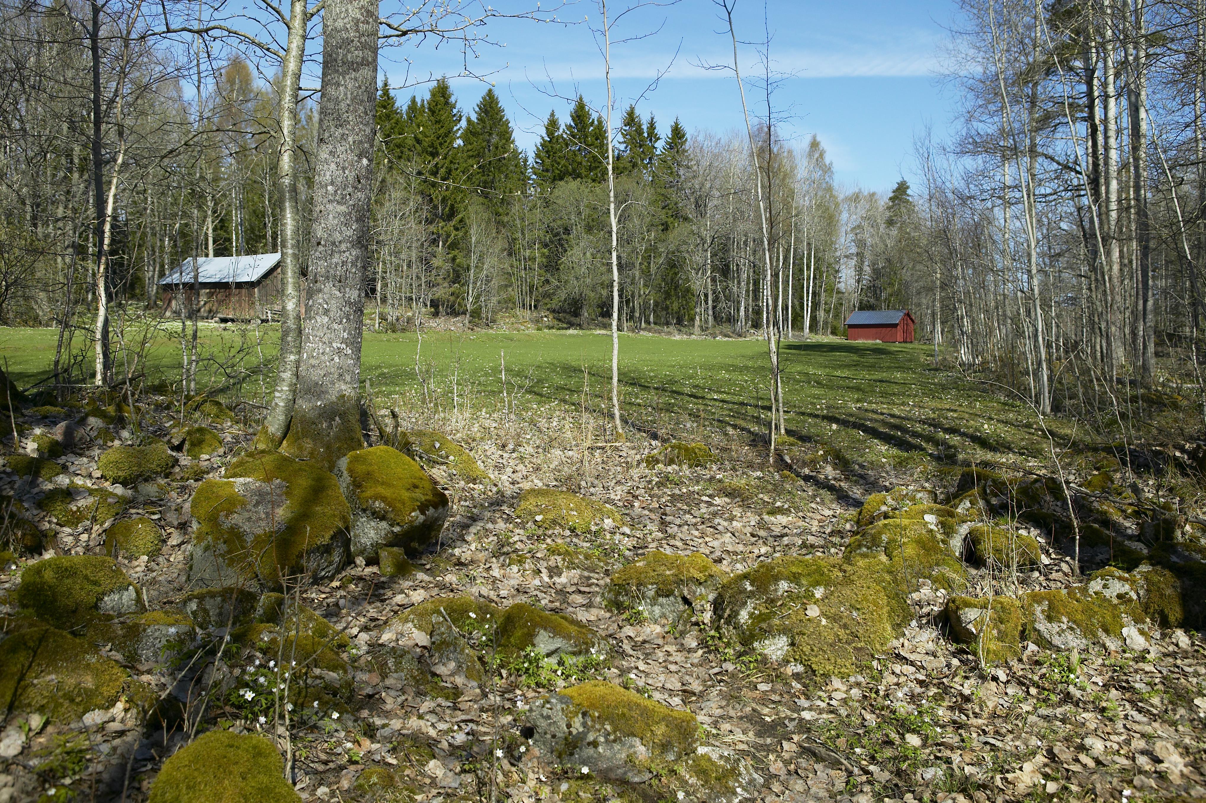 Bengt A Lundberg, Bredforsen