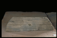 Image of Nä Fv1979;234