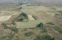 Södra Möckleby 1:1