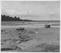 Bilskaten, strandlinje