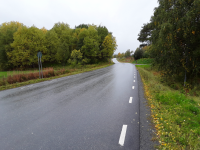 Duved ödesböle L1946:5946