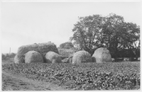 Västra Virestad, stackar högre än boningshuset