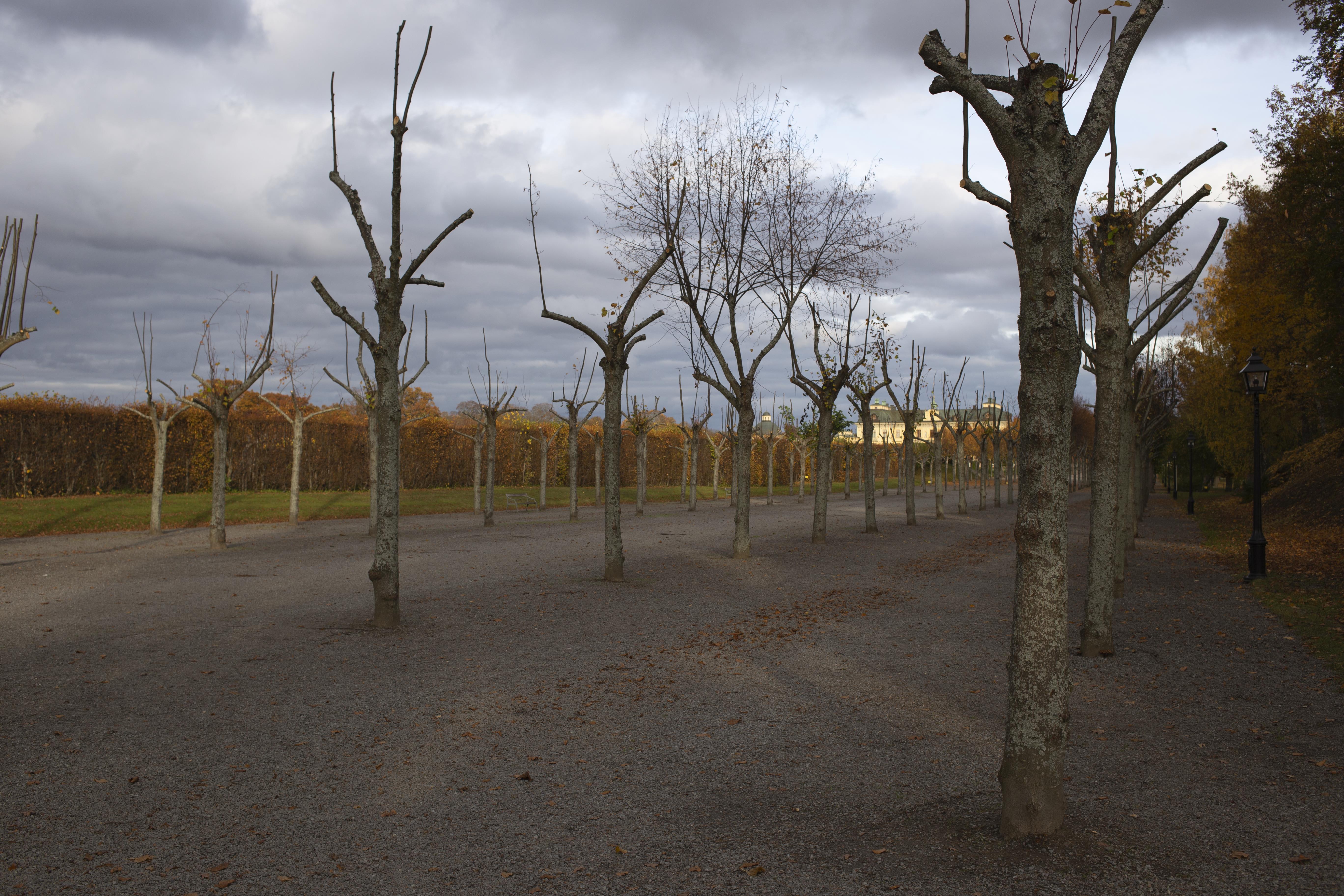 Leif Gren, Drottningholm
