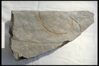 Image of Öl Köping3