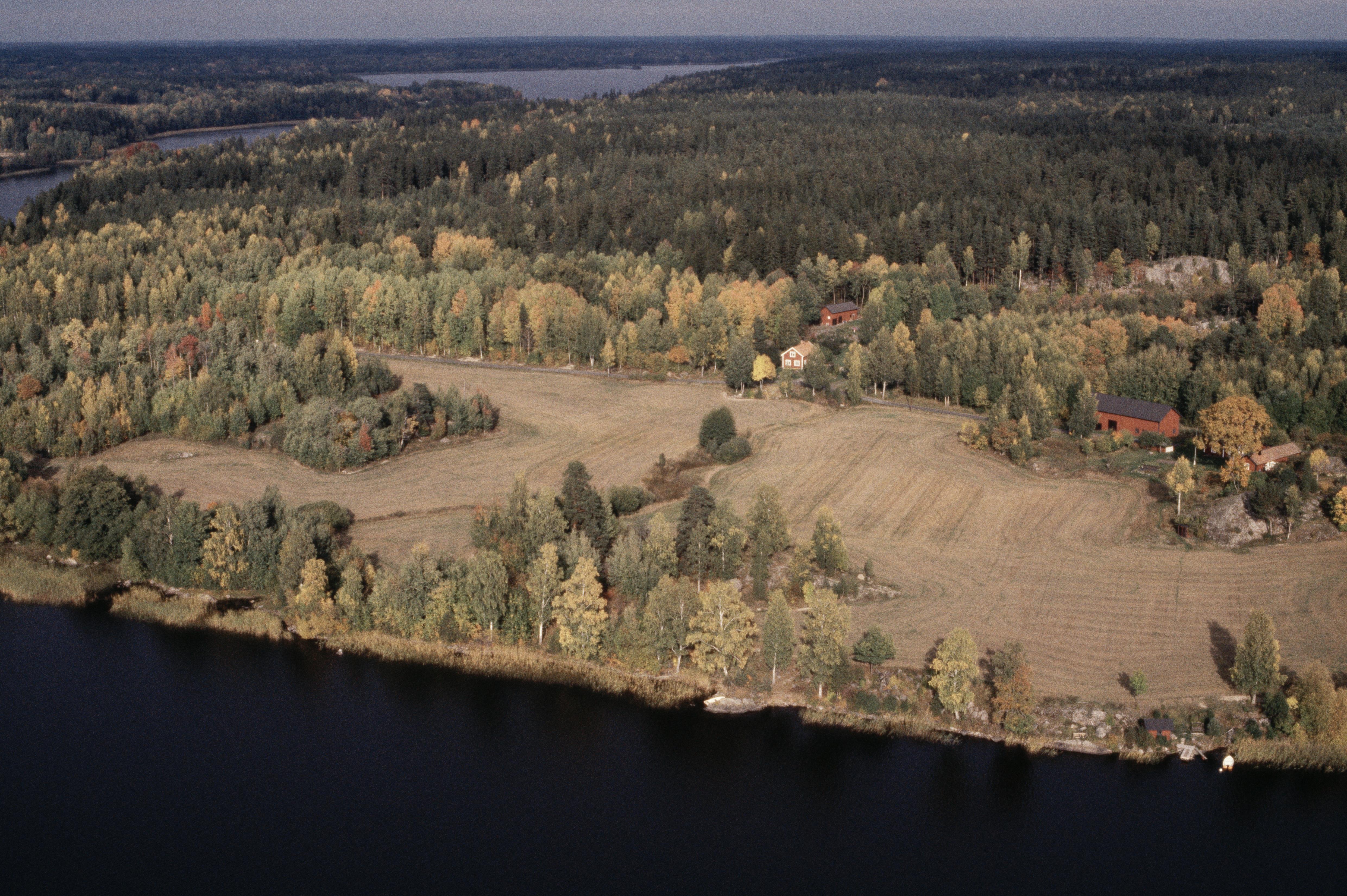Jan Norrman, Näshulta 99:1