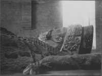 Vadstena Klosterkyrka