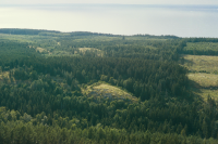 Västra Tollstad 18:1