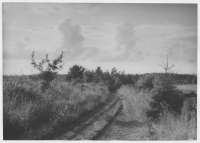 Gudhems socken, väg