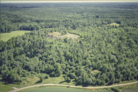 Husby-Långhundra 156:1