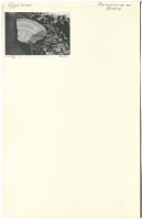 Tureberg. Kolla signum..