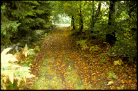 Margaretastigen, Kongslyden, Runamoleden