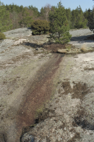 Litsleby Forskningshällen