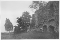 Eksjöhovgård, ruiner