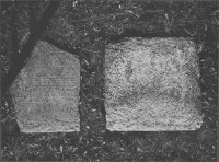 Vadstena Klosterkyrka