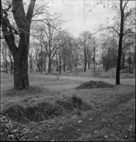 Stockholm, Johanneshovs kolerakyrkogård