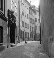 Gamla stan