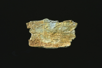 Image of Vr Runrön23;258A