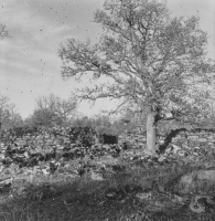 Ismantorps fornborg
