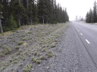 Landön undersökningsområde