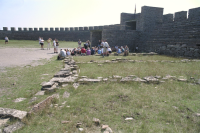 Image of Öl ACTARC37;211