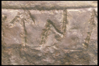 Image of Öl Köping3