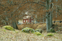 Image of Ög HedvallMenander473