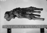 Skivarp, Sankt Laurentius kyrka