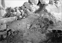 Skara domkyrka (Sankta Maria kyrka)