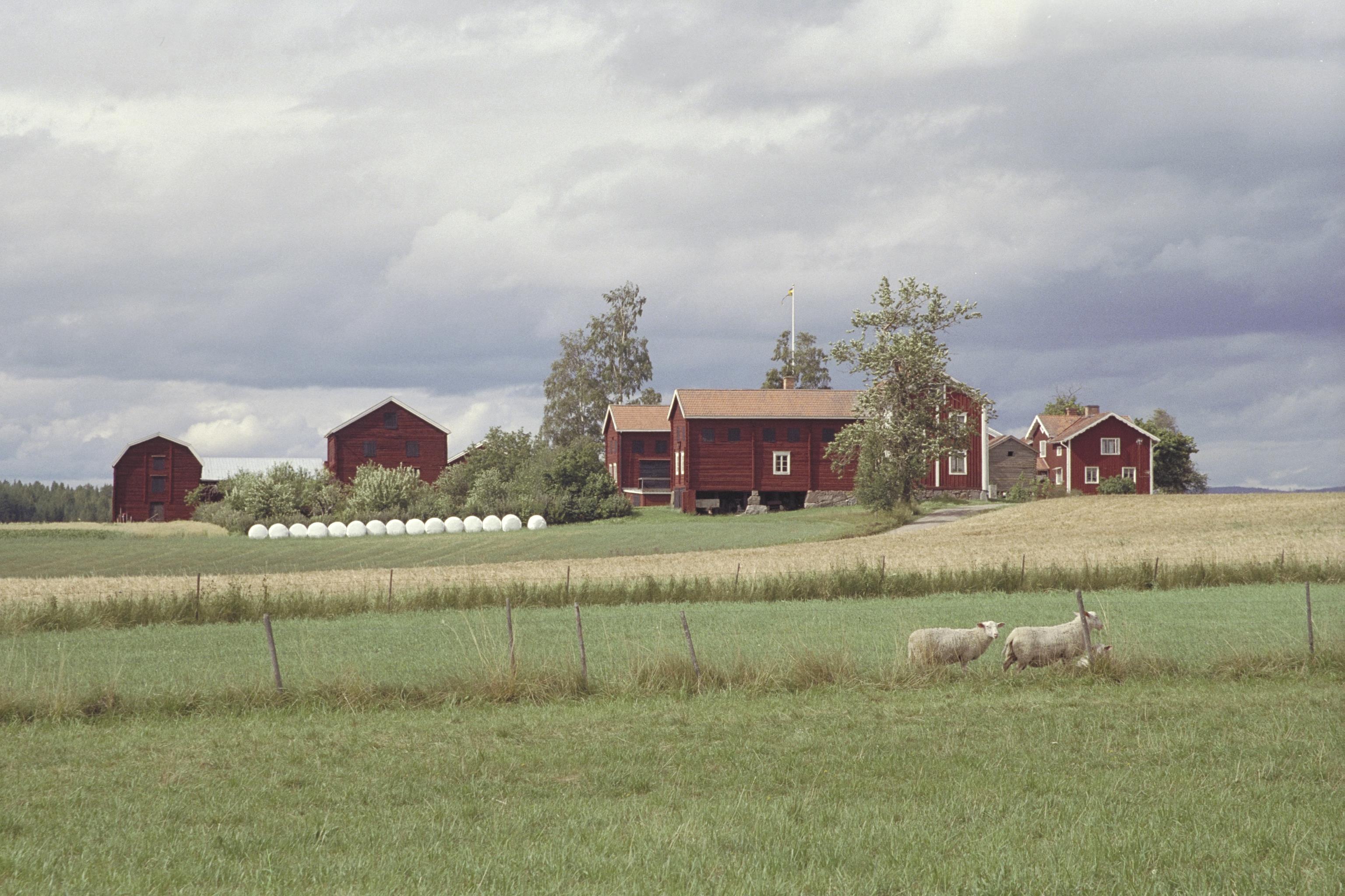 Bengt A Lundberg, Västeräng