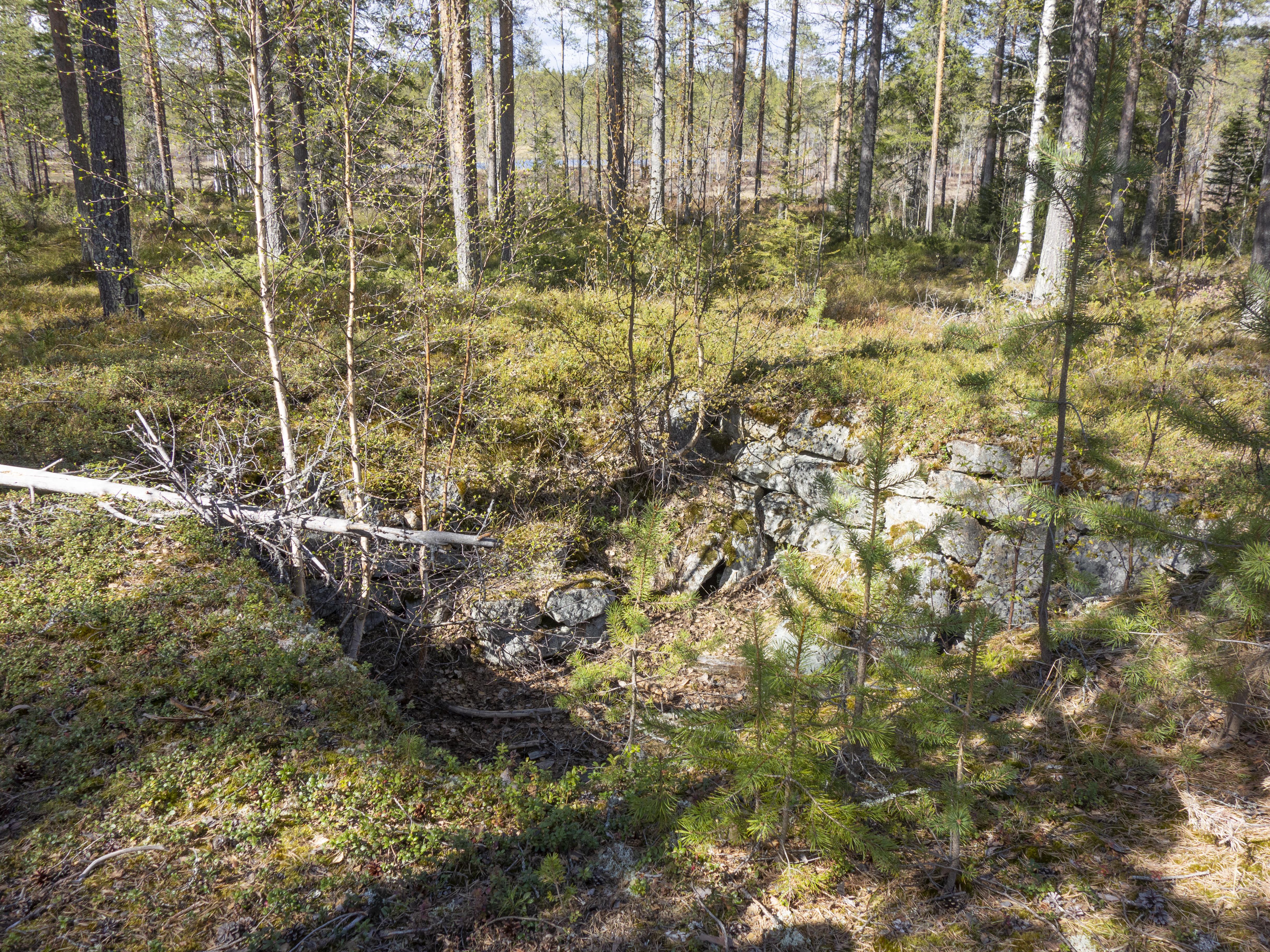 Leif Gren, Hortlax 343:2