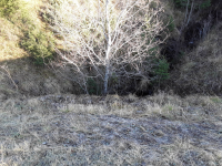 Duved L2020:1153 stenbro