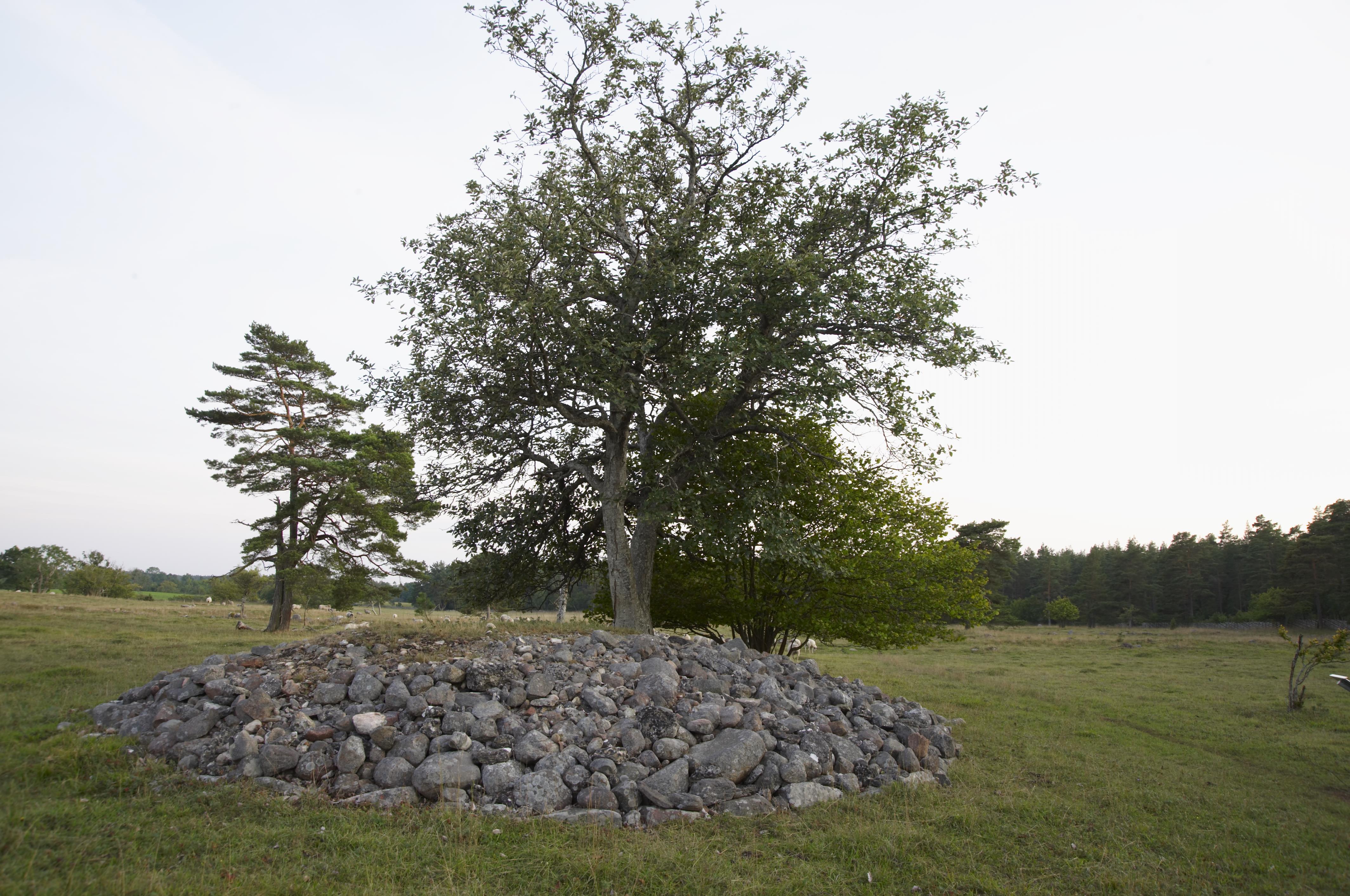 Bengt A Lundberg, Fröjel 31:3 (1)