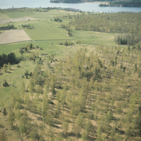 Björkö-Birka