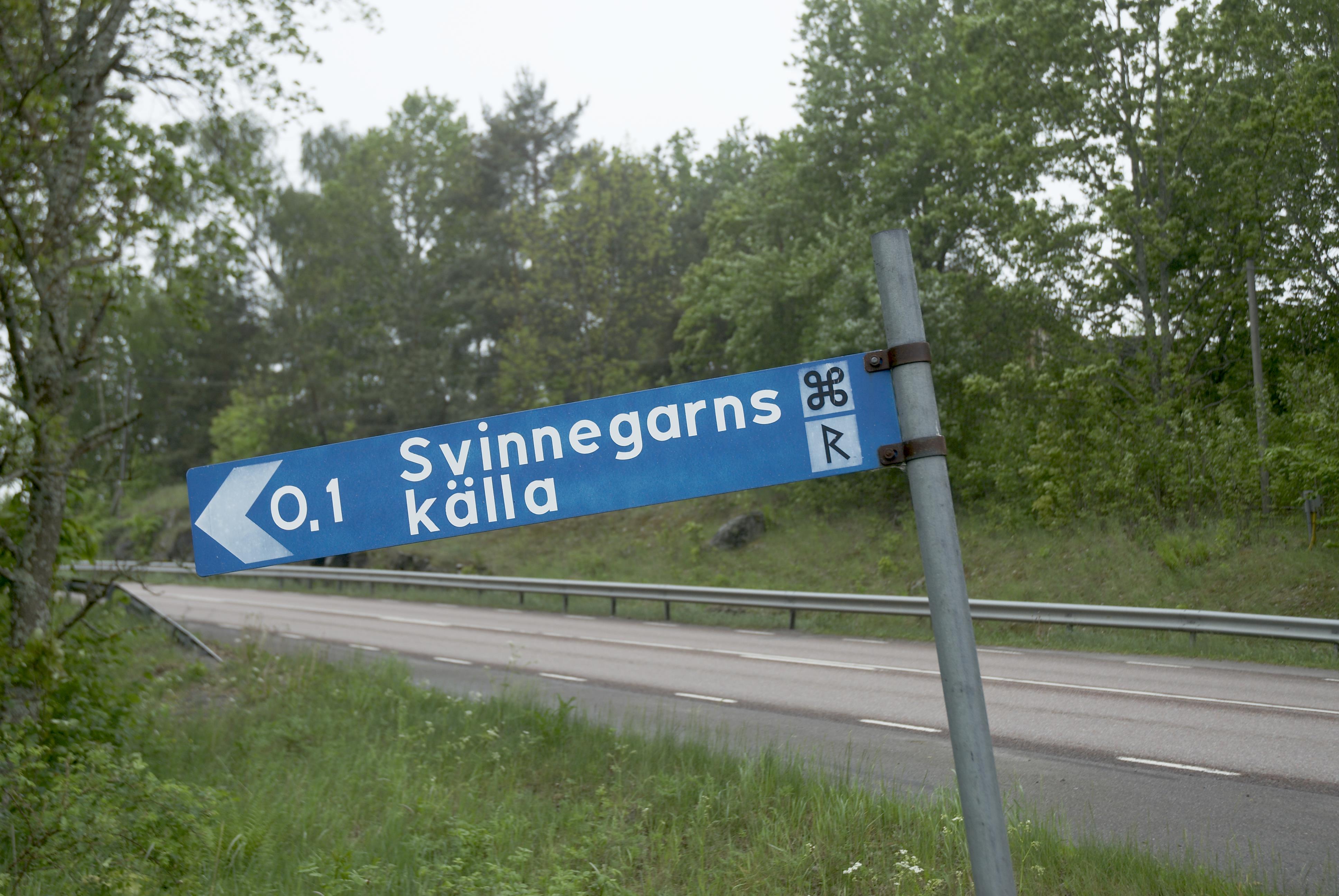 Bengt A Lundberg, Svinnegarns källa