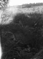 Utö, Ålö kapellruin